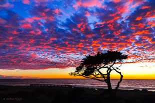 Carlsbad sunset-2308.jpg